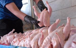 قیمت مرغ برای مصرف‌کنندگان ۱۵ هزار تومان تعیین شد